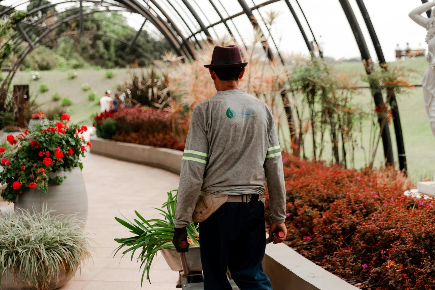 Jardinería y áreas verdes