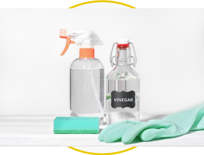 Productos ecológicos